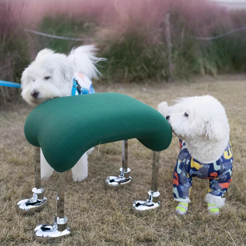 

Puppy makeup , dining stool, trendy shoe changing , children's , living room casual comfortable soft