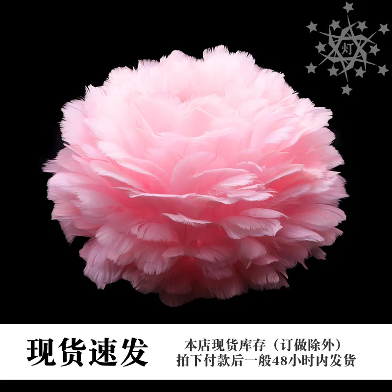 

Creative Modern and Simple Feather Warm Girly Style Regular Combination Color Lampshade