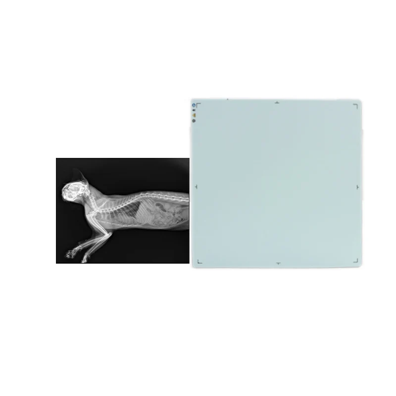 Flat Panel Detector Veterinary Use X Ray Manufacturer Cheap Sale Flat Panel Dr X Ray System Digital X-ray