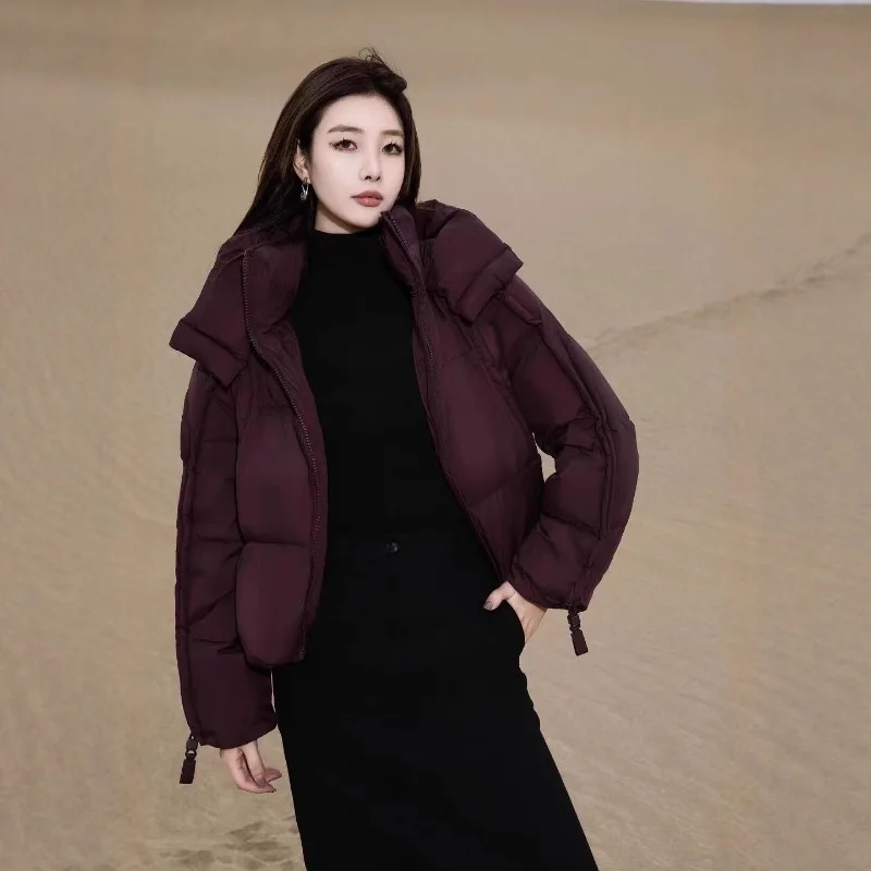 الشتاء نمط جديد أسفل سترة الإناث معطف سميك ودافئ المألوف أسفل ملء معطف قصير/فضفاض مع هود معطف الشتاء النساء
