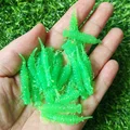 GD24 10PCS 05