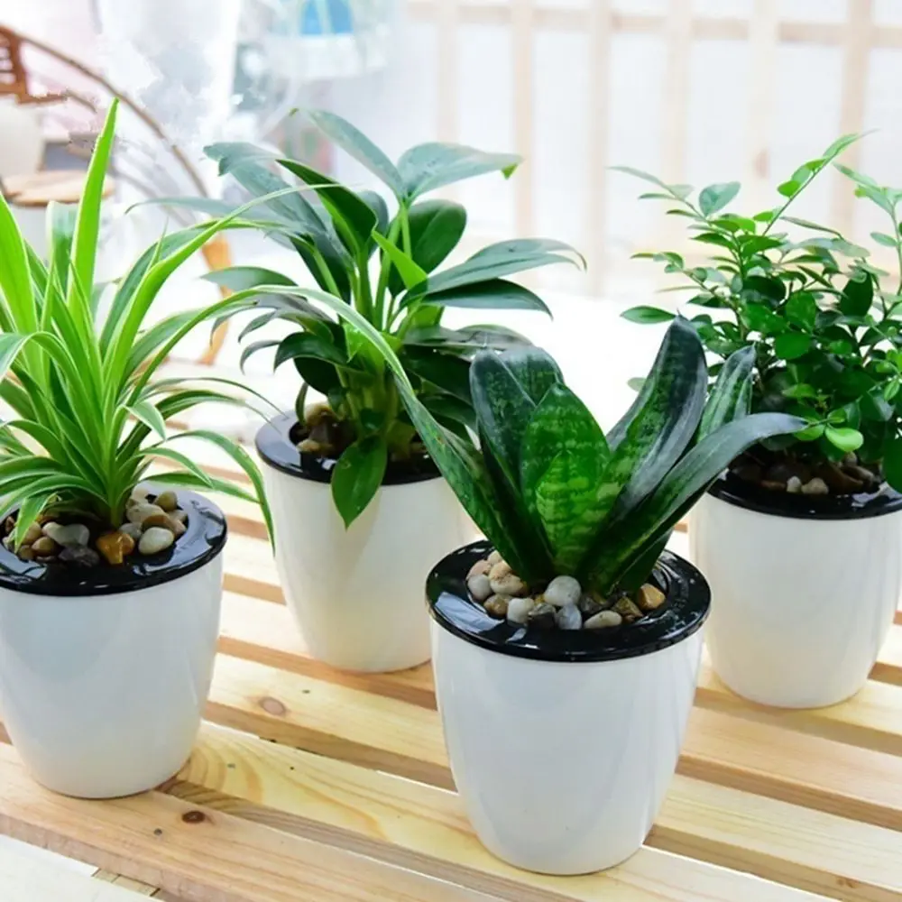 Round Automatic Desktop Decoration Garden Supply Office Flower Pots Home Decor Plants Basket Planter