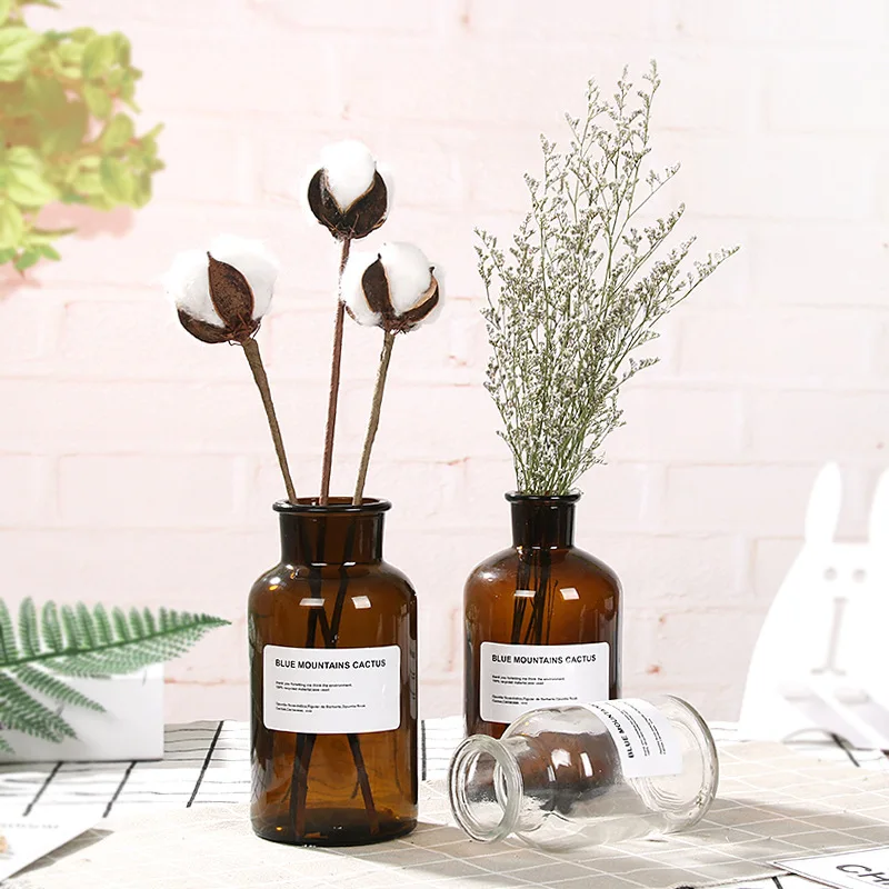 فوند التصوير الملحقات براون زجاجة شفافة الزجاج العطور الحاويات الكاشف زجاجات زهرة ترتيب الفن صور الدعائم