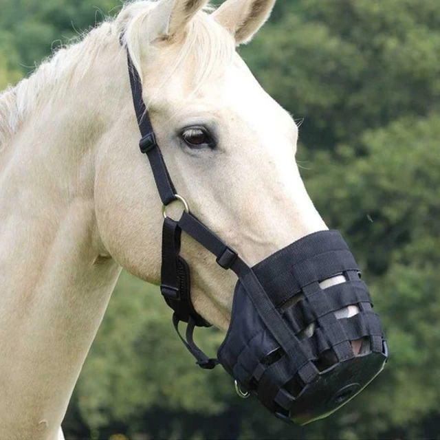 Zimowy, gruby, pluszowy kaganiec dla konia, zapobiegający gryzieniu, sprzęt do treningu i ochrony podczas pasowania.
