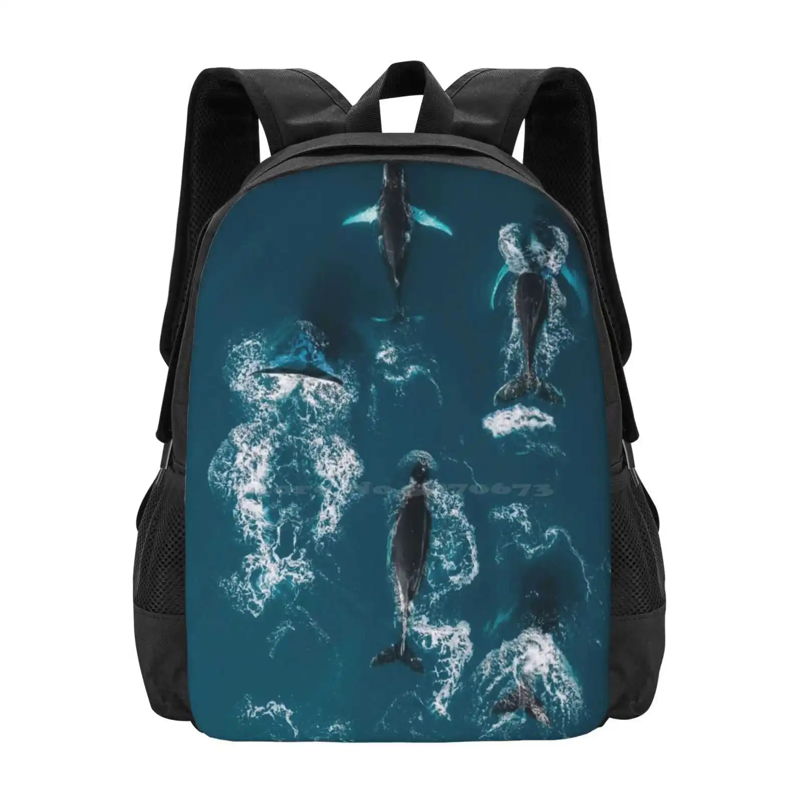 Whales In Blue - Wildlife Aerial Hot Sale Schoolbag Backpack Fashion Bags Wildlife Animals Whale Blue Ocean Arctic Atlantic