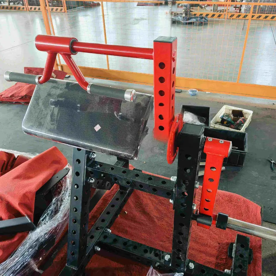 2026 Wholesale Customized Color Biceps Triceps Extension Machine Custom Fitness Equipment Manufacturer Made Steel Safety Include