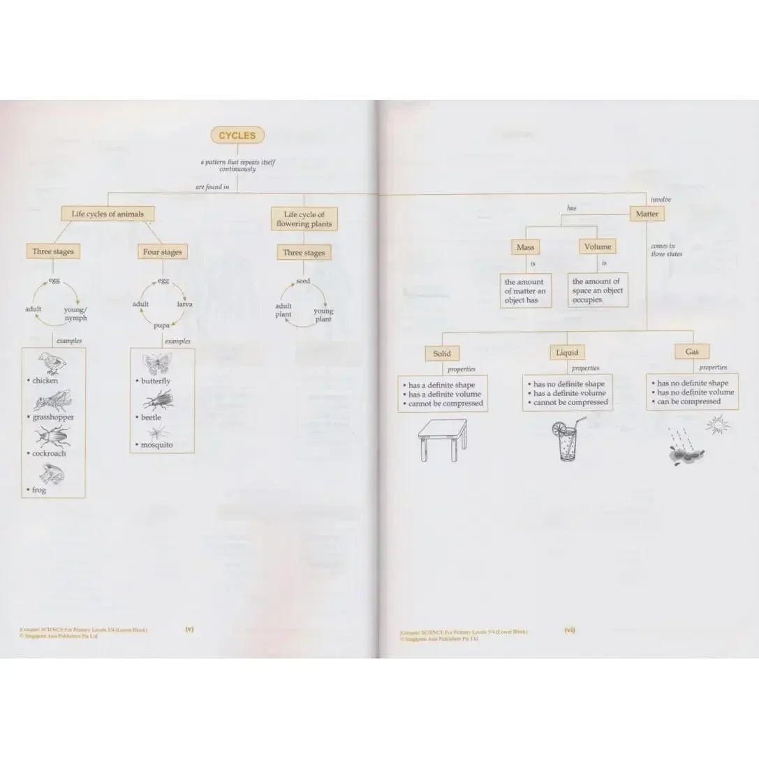 Un livre SAP Conquers Science école primaire Version de base 1-6 année singapour enseignement des sciences manuel supplémentaire