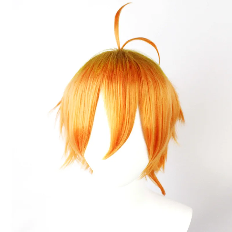 Anime Cos Wig, Easy To Style Cosplay Wig for Comic Con & Two-Dimensional Character Role Play