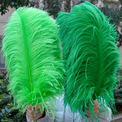 Wholesale Ostrich feathers Big Pole 50-70cm Long Feather Wedding Party Table Centrepieces Carnival Ostrich Plumas 10pcs/lot