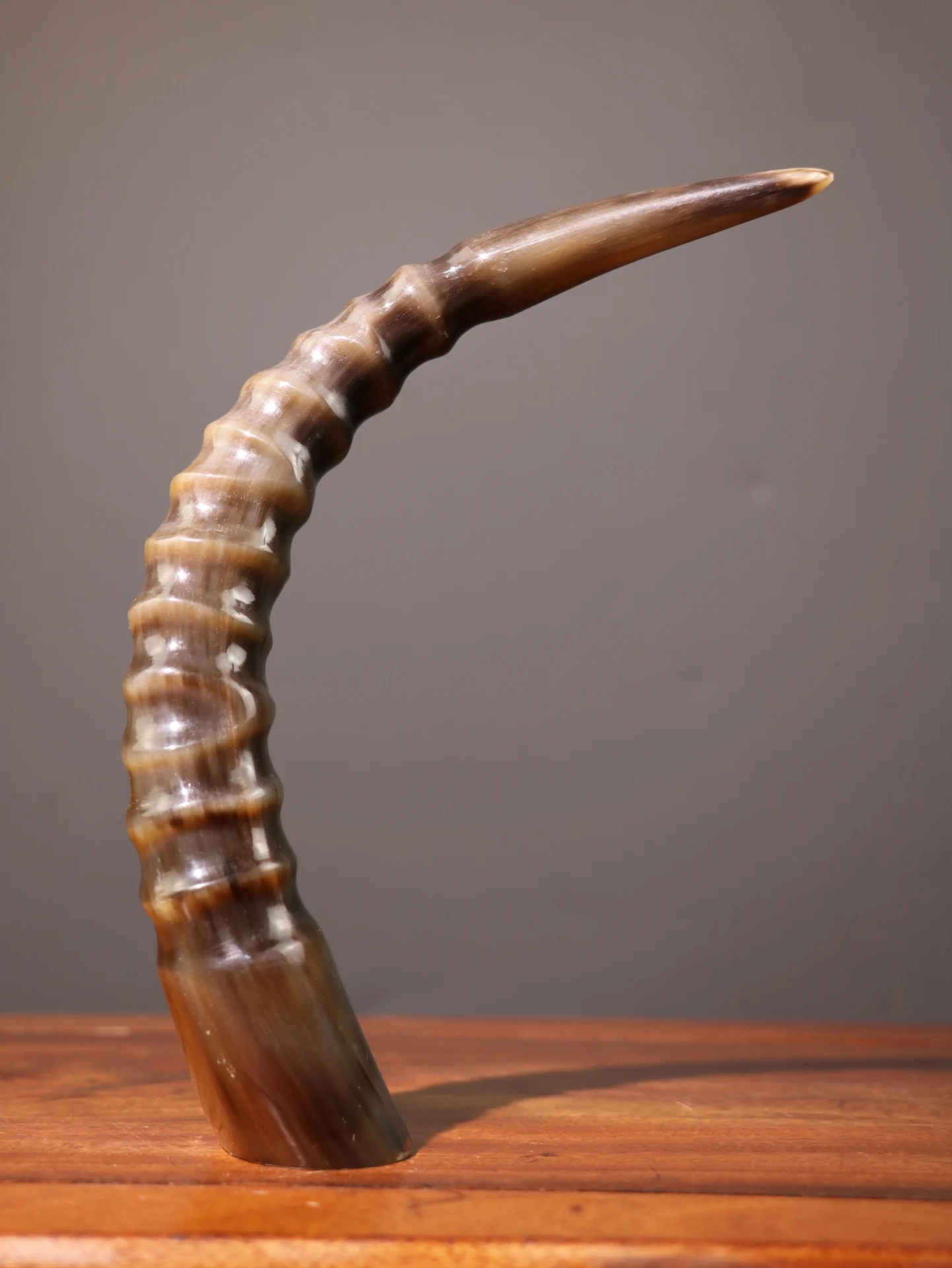 

9"Tibet Temple Collection Old Natural ram's horn Sheep horn tip Spiral shape Ornaments Worship Hall Town house Exorcism