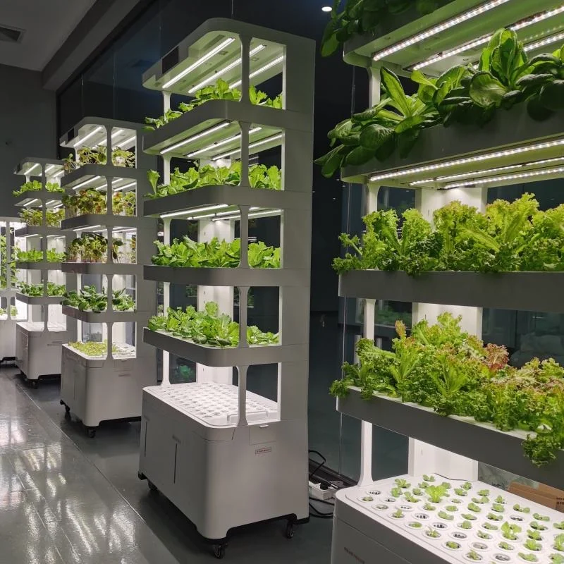Removable remote control indoor intelligent multi-layer vertical hydroponic growth system equipment high productivity 1 year