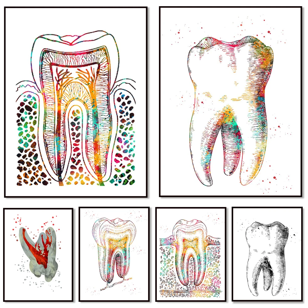 

Human teeth tooth structure canvas painting poster printing teeth dentist wall art picture decoration doctor office room poster