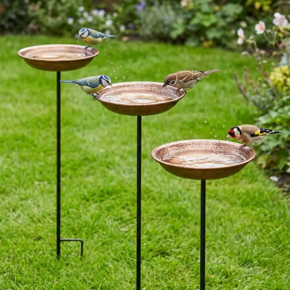 #68 Best Rated Bird Baths to Buy in 2026