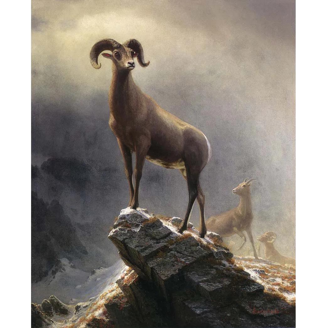 Rocky Mountain Sheep by Albert Bierstadt,Hand painted animal oil painting on canvas,Famous oil painting reproduction,Home decor