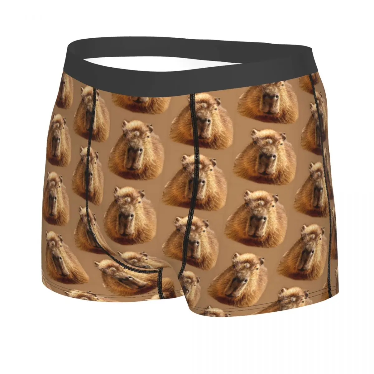 Custom Capybara Dozing In The Sunshine Boxer Shorts For Homme 3D Print Popular Animals Underwear Panties Briefs Soft Underpants