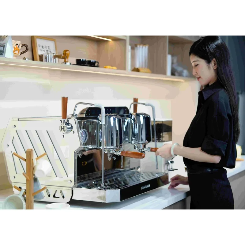 For Commercial 2 Group Espresso Coffee Machine Professional Price