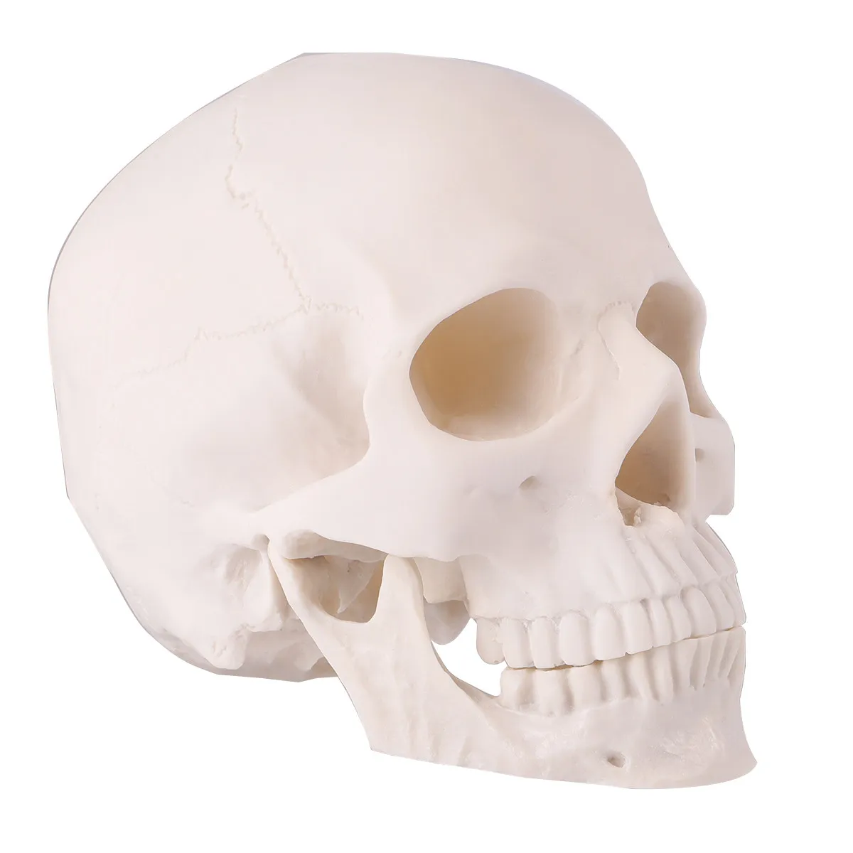 1pcs-classic-ghost-skull-ornament-resin-easy-clean-lightweight-halloween-decoration-for-haunted-house-bar-party-home-office