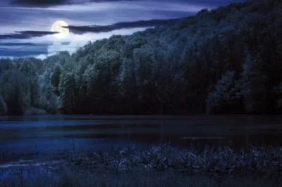 

118 мм, 4 шт. резиновые губчатые шины с дисками для радиоуправляемых моделей HSP 1:10 Monster Truck 88005, HSP 94111, 94108, 94188