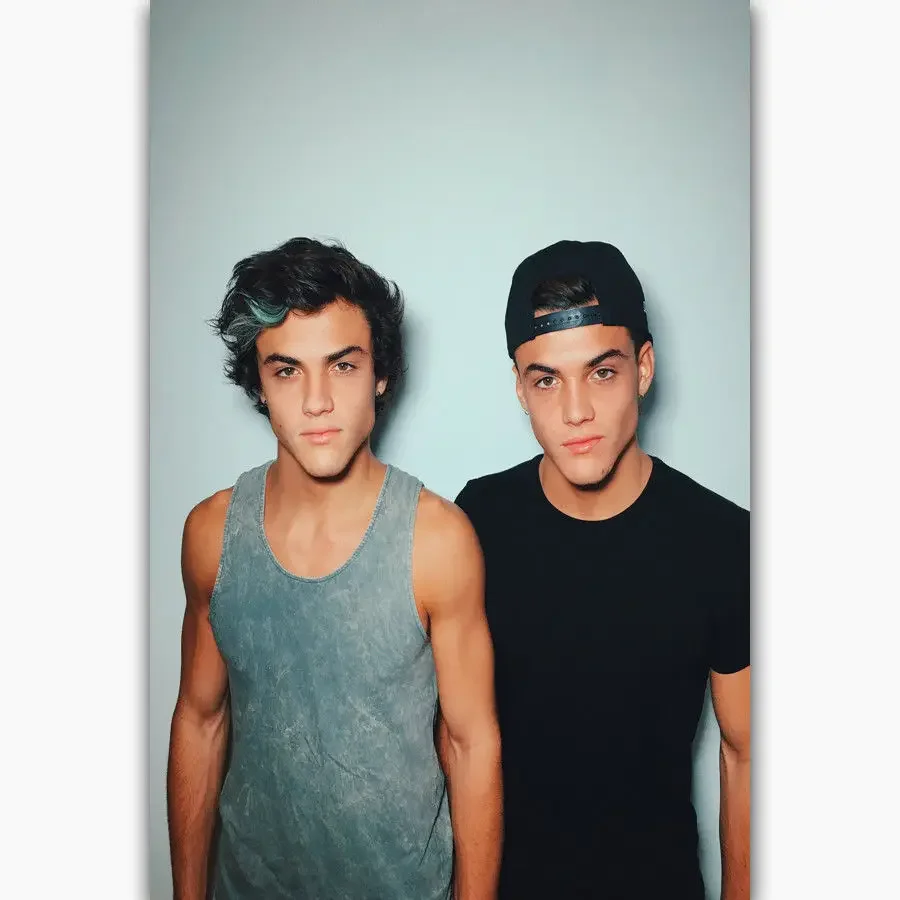 New Dolan Twins Custom Music Group Music-Silk Art Poster Wall Sticker Decoration Gift