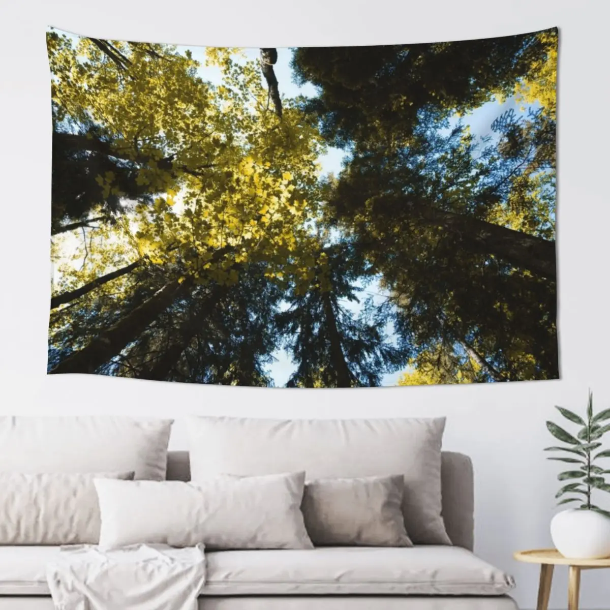 

Canopy of Tall Trees Tapestry Wall Mural Decorative Wall Murals Wall Hanging Decoration For Home Tapestry