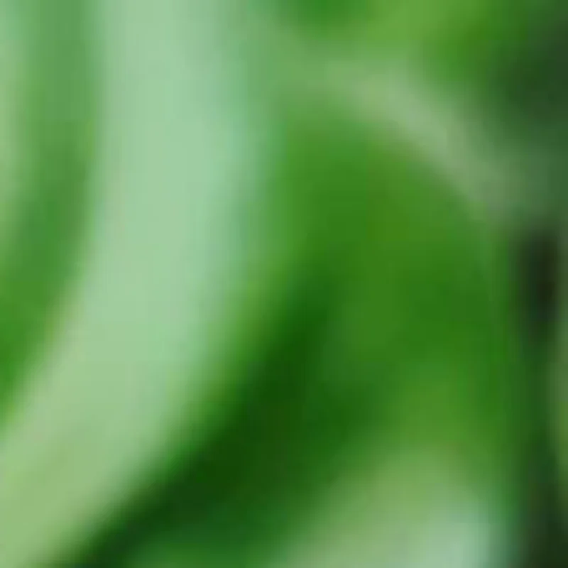 1pc insetos âmbar pedra preciosa escorpião pedras naturais e minerais decoração de casa insetos âmbar pedra preciosa diy artesanato à mão presente