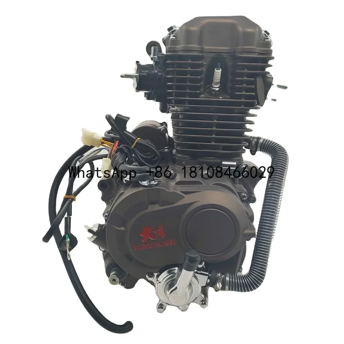 

175cc new super cool DAYANG Motorcycle Engine Assembly Single Cylinder Four Stroke Style