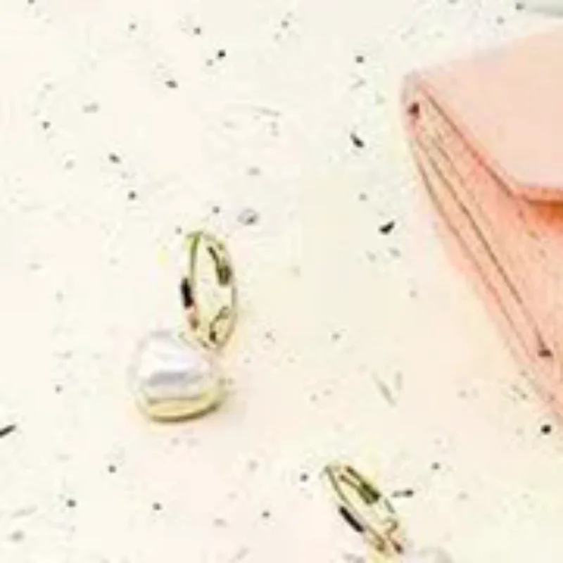 

Foldable Jewelry Organizer Pouch With Multi Compartments For Rings Necklaces Earring Mini Travel Jewelry Roll Bag With Buckle