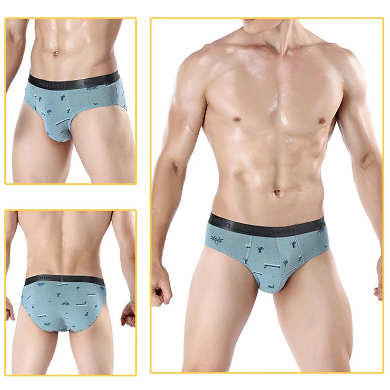 4Pcs Men Sexy Briefs Cotton Underwear Men\'s Breathable Brief Underpants Comfortable Mens Soft  Print Shorts Cueca Male Panties