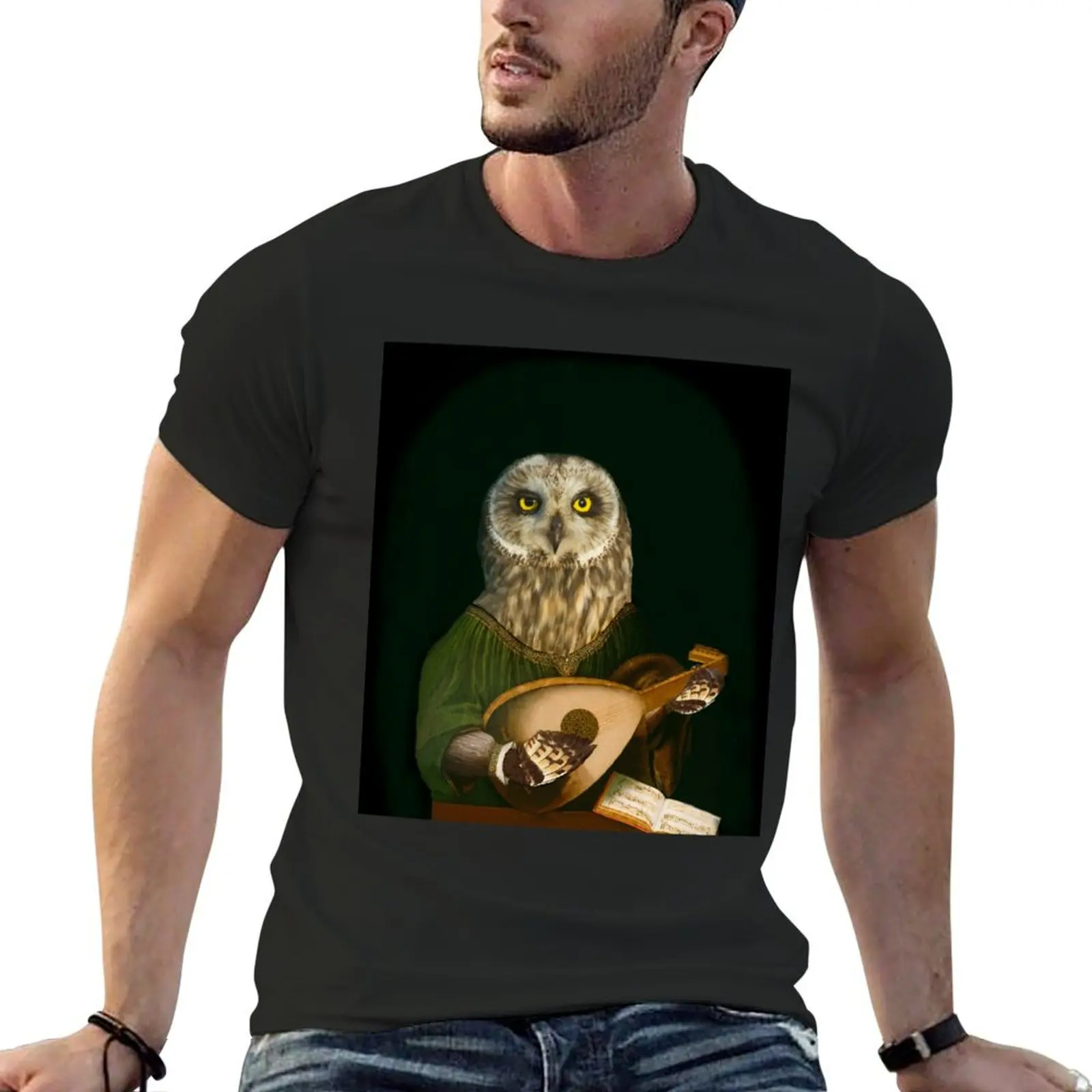 Owl Playing the Lute - Composite Painting T-Shirt shirts graphic tee animal prinfor boys vintage graphic tees men