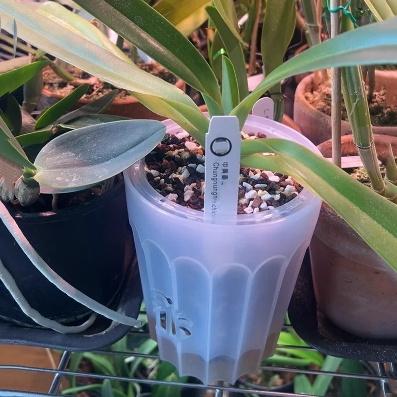 13/15cm Self Watering Orchid Pots for Indoor Plants Root Control Transparent Plastic Flower Pot Home Decorative Bonsai Pots