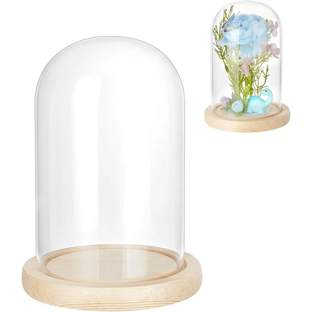 Glass Dome Cloche, Eternal Flower Glass Display Cloche Bell Jar Glass Display with Wood Pedestal for Valentine's Day Flower