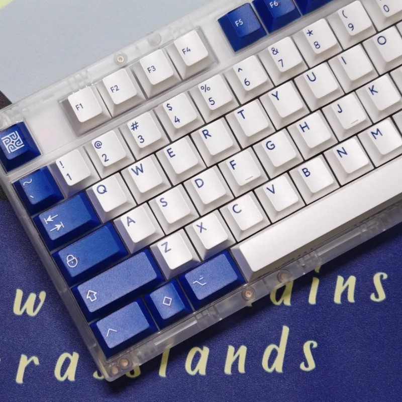 pbtfans-klein-blue-keycaps-set-di-copritasti-con-profilo-cherry-abs-doubleshot-per-interruttori-mx-copritasti-tastiera-meccanica