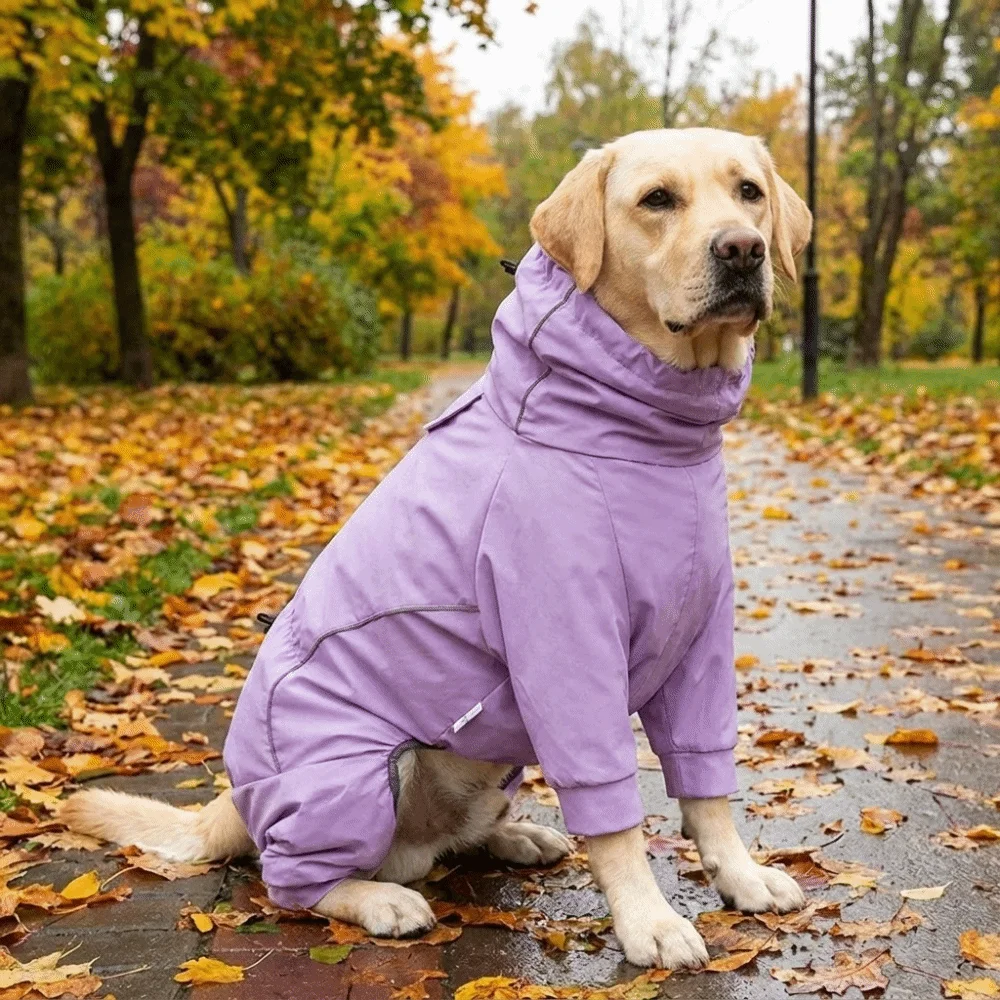 Waterproof Dog Hooded Raincoat Breathable Quick Dry Pet Waterproof Clothes Adjustable Hood Windproof Dog Rain Jacket Outdoor - view 3