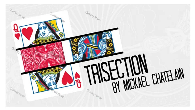 

TRISECTION от Mickael Chatelain Magic Tricks (мгновенная загрузка) Быстрая отправка