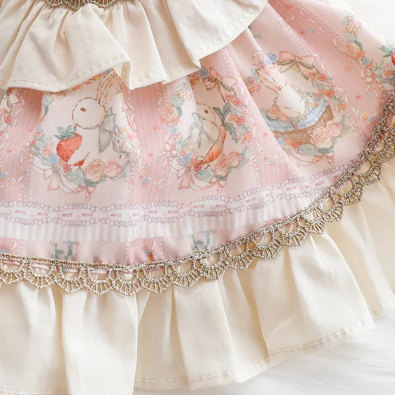 Sukienka księżniczki Lolita dla psa i kota, ubrania na wiosnę i lato — zdjęcie 4