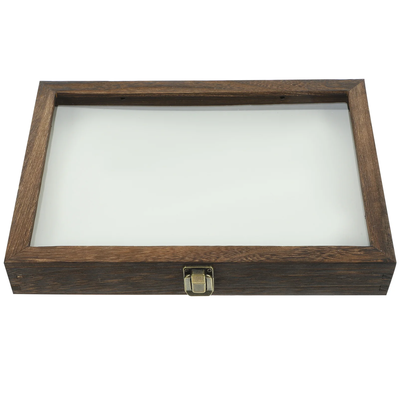 1 set Specimen Display Box 12X12X4Cm Transparent Lid Wooden Frame For Insect Plant Collection Storage Shadow Case Specimen
