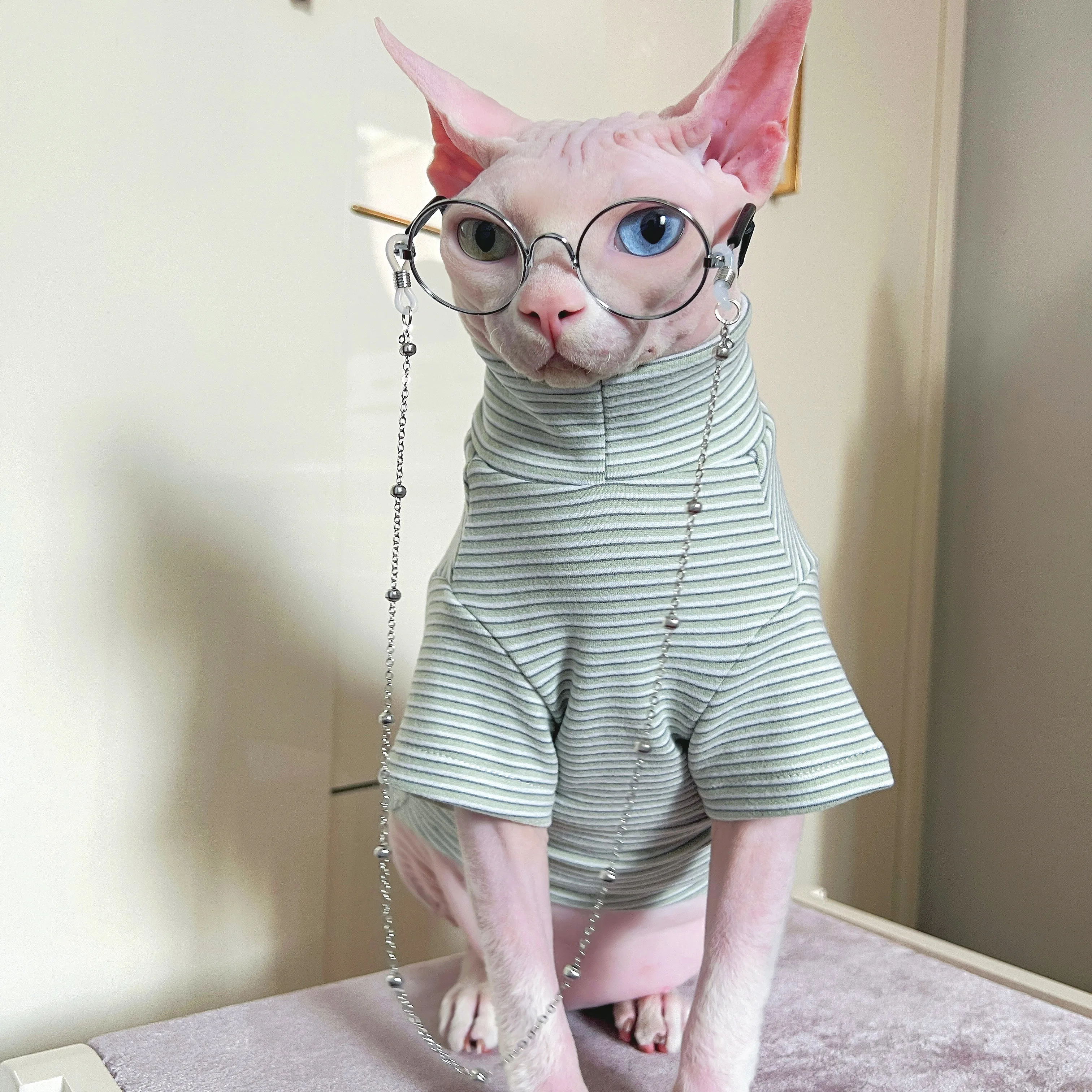 Katzen-Winter-Langarm-Mantel mit warmen grünen Streifen, Katzenpullover für Sphynx Cat Rex, weiches Cartoon-Sweatshirt, elastisch für Kätzchen