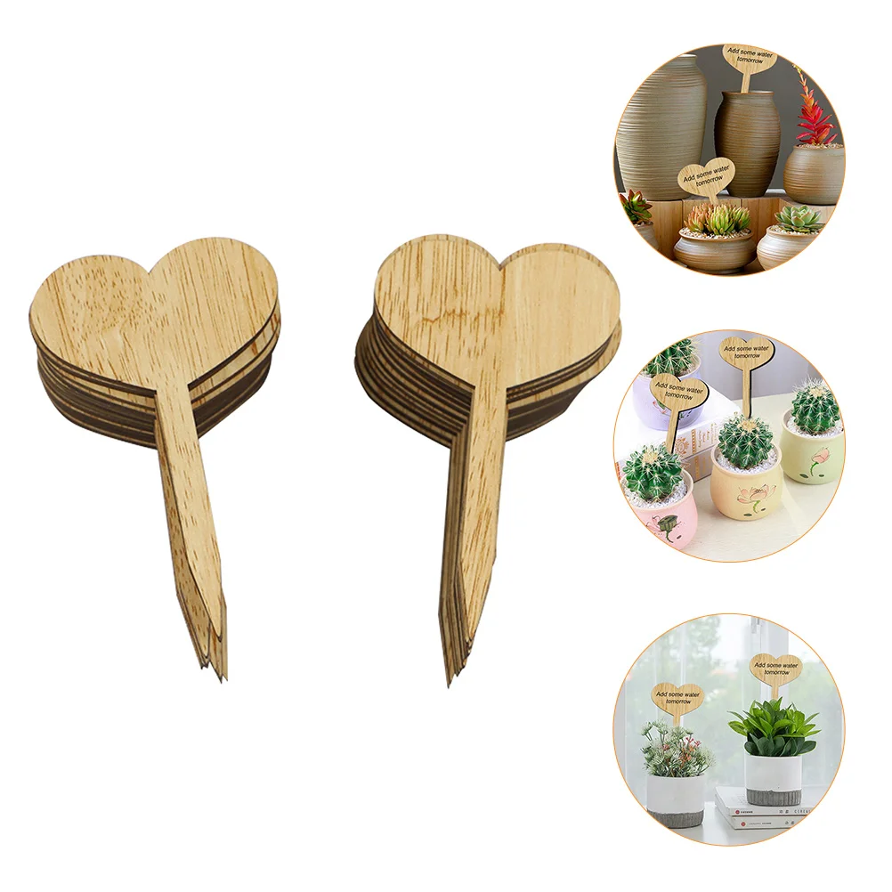 

30 Pcs Succulent Logo Insert Potted Plant Labels Flower Novel Gardening Inserts Green Ornaments Decorations