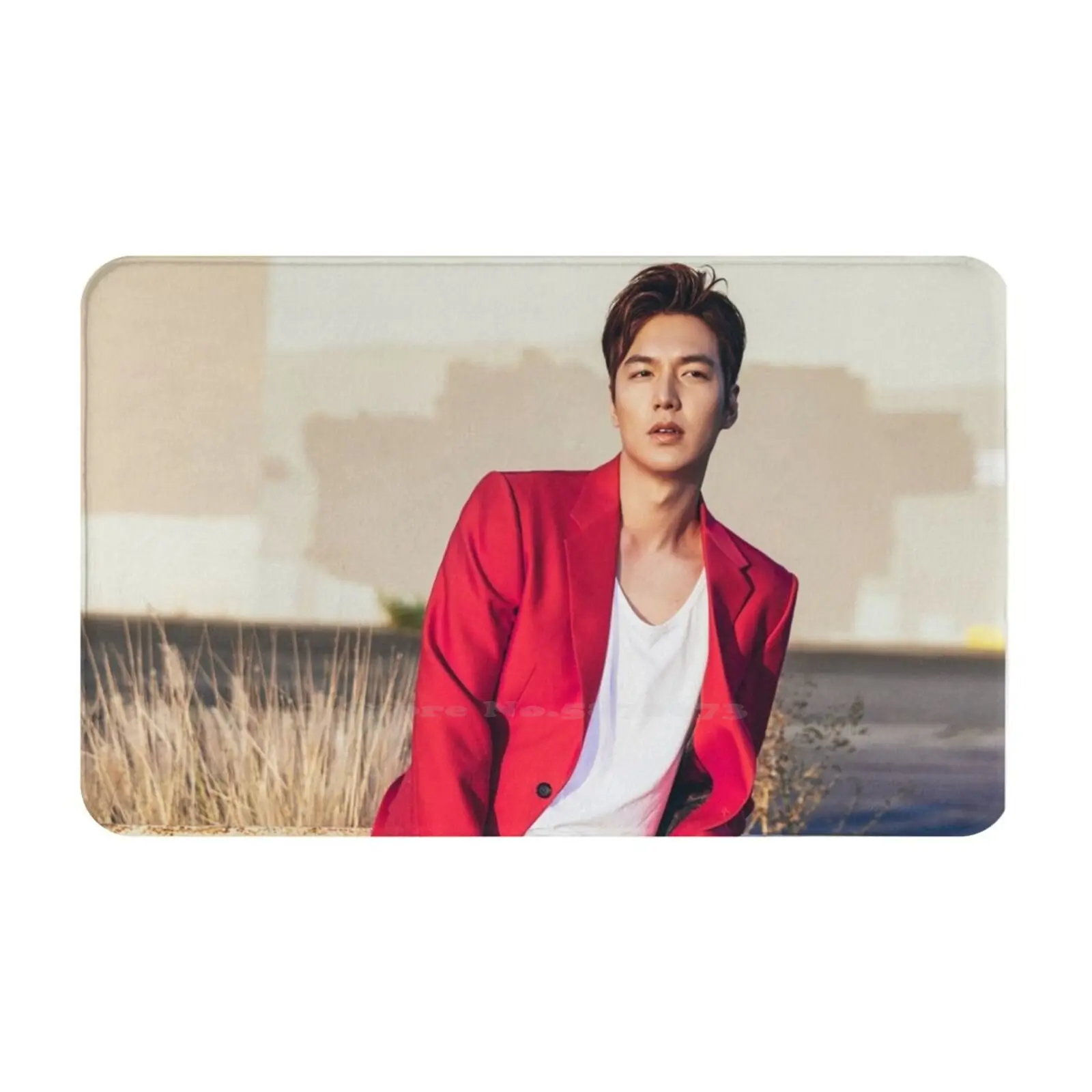 Lee Min Ho [ Click To See Other Items With This Design ] Soft Cushion Car Home Carpet Door Mat Lee Min Ho Minho Boys Over