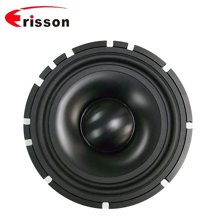 OEM Supplier High Quality Loud Speaker Component Car Speakers for Car