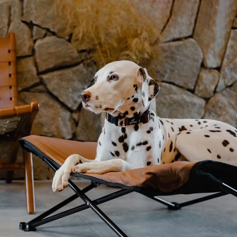 

Outdoor Dog Hammock Pet Bed Chair Cushion Foldable Puppy Camping Bed Chair Lunch Cat Bed Sofa Pet Accessories