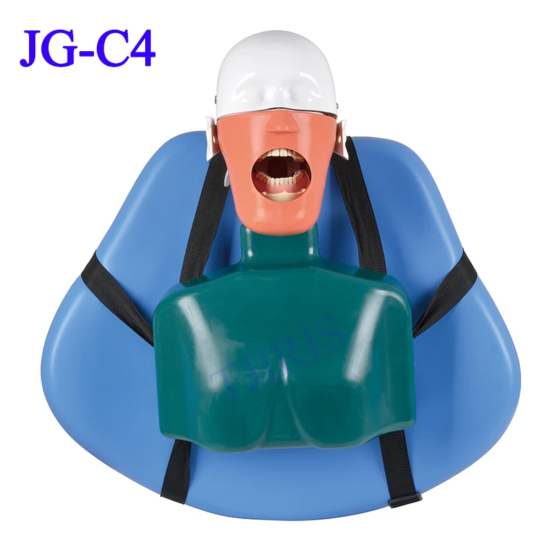 

JG-C4 Dental Manikin Simulated Head Model with Belt Dental Education Product