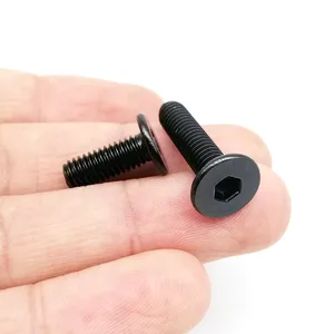 M2 m2.5 m3 m4 m5 m6 m8 Black 304 Stainless Steel Allen Hexagon Ultrafinal Hexago Hexagon Screw Ultra Fine Wafer head screw 8 MAIN SALES SALES - №8