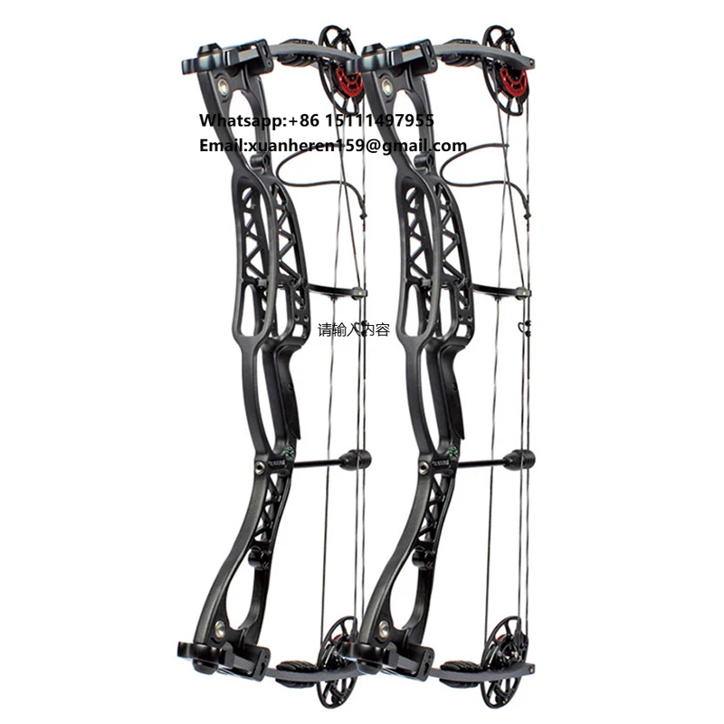 

Archery Compound Bow Professional Bow and Arrow Compound Bow Adult Hunting for Competition