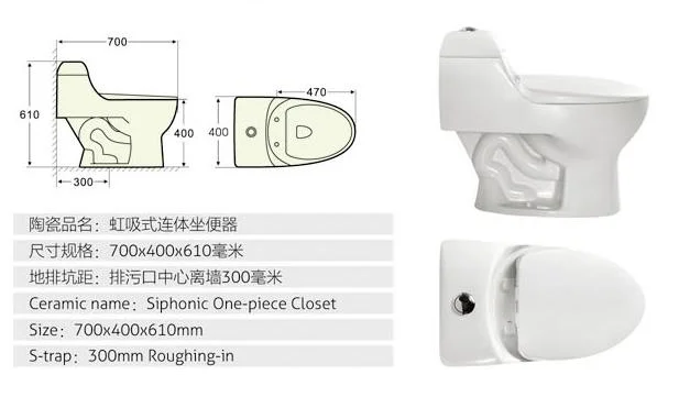 Professional safety dual-flush one-piece modern economic toilet siphonic one piece closet closestool