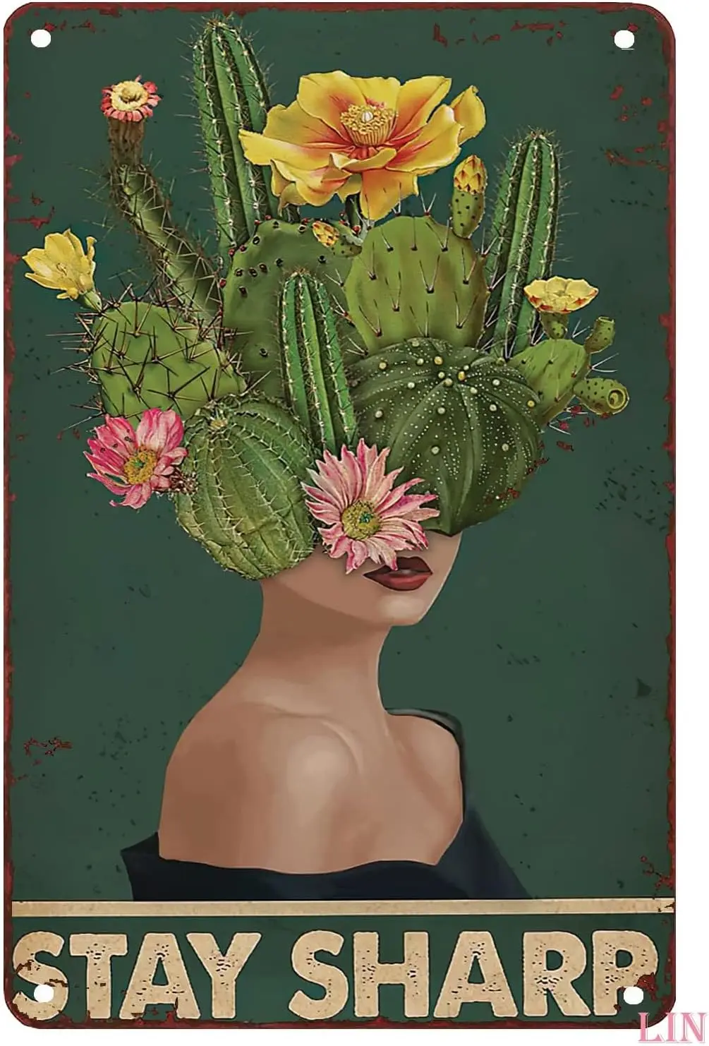 1pcs Vintage Metal Wall Decor Stay Poster Cactus Poster Crazy Plant Lady Gift Cactus Lady Poster Plants Wall Art Tin Sign Chic