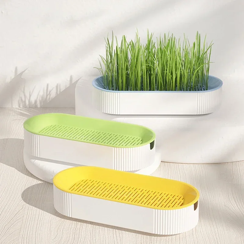 Hydroponic Pet Grass Dish, Sprout Dish, Growing Pot, Plant, Germination, Digestion Starter, Dish Sprouter