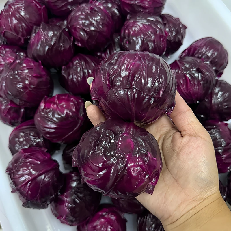 Homemade Cabbage Squishy Squeeze Fidget Toys Soft Crispy Sound Stress Ball Toys ASMR Sensory Stress Relief Toys for Adult