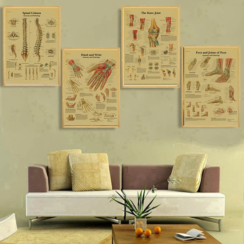 Anatomy and Physiology The Body Structure Posters Skeleton Retro Kraft Paper Sticker Vintage Room Medical Decor Art Wall Poster