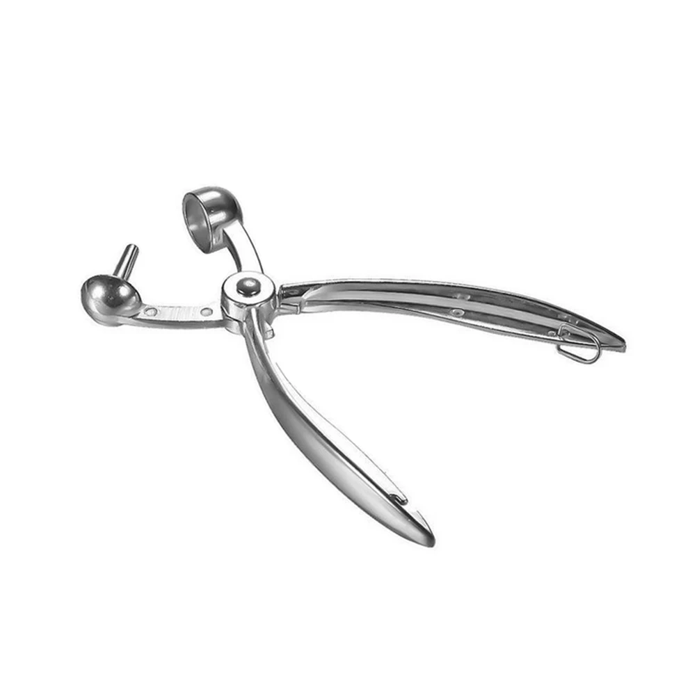 

fruit pitter cherry pitter cherry pitter tool olive pitter tool